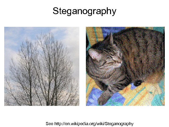Steganography See http: //en. wikipedia. org/wiki/Steganography 