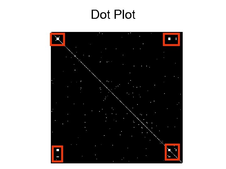 Dot Plot 