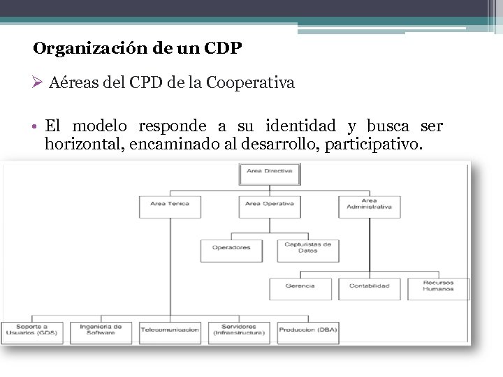 Organización de un CDP Ø Aéreas del CPD de la Cooperativa • El modelo