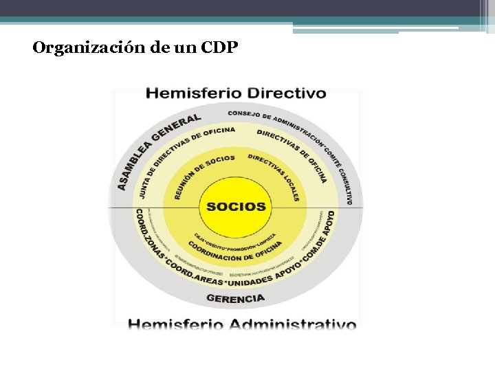 Organización de un CDP 