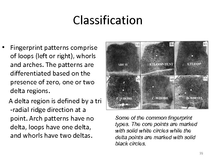 Classification • Fingerprint patterns comprise of loops (left or right), whorls and arches. The