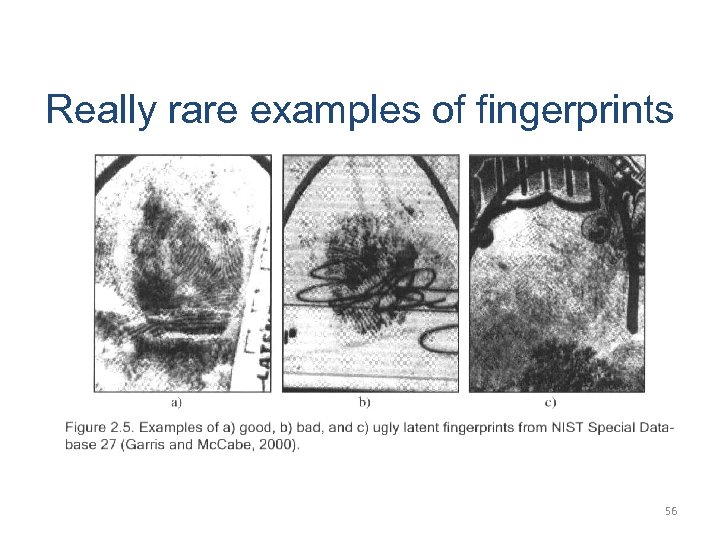 Really rare examples of fingerprints 56 
