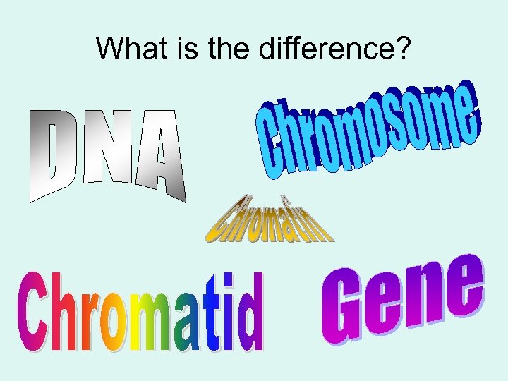 What is the difference? 