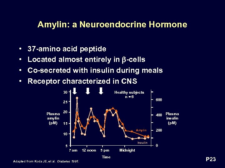Amylin: a Neuroendocrine Hormone • • 37 -amino acid peptide Located almost entirely in
