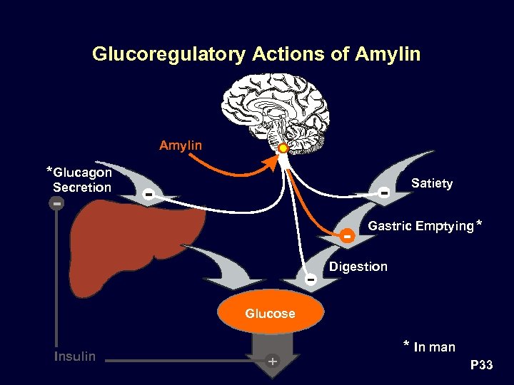 Glucoregulatory Actions of Amylin * Glucagon Satiety Secretion Gastric Emptying * Digestion Glucose Insulin