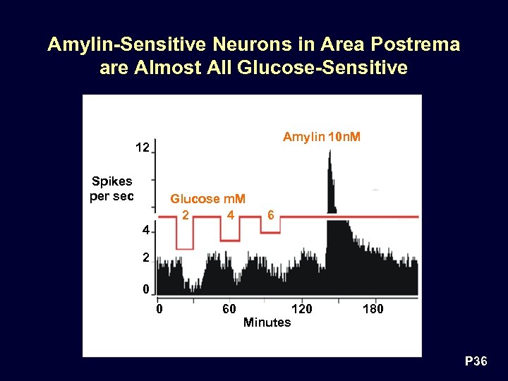 Amylin-Sensitive Neurons in Area Postrema are Almost All Glucose-Sensitive Amylin 10 n. M 12