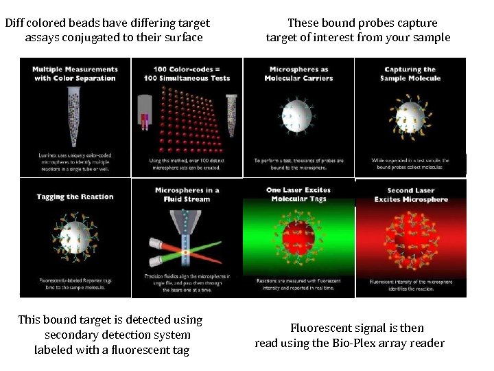 Diff colored beads have differing target assays conjugated to their surface This bound target