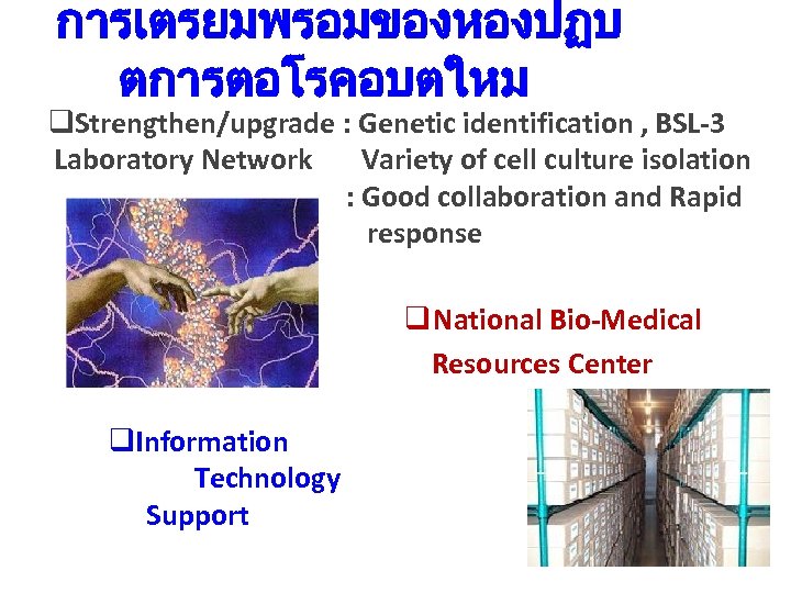การเตรยมพรอมของหองปฏบ ตการตอโรคอบตใหม q. Strengthen/upgrade : Genetic identification , BSL-3 Laboratory Network Variety of cell