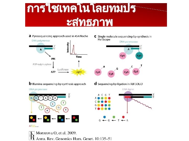 การใชเทคโนโลยทมปร ะสทธภาพ 