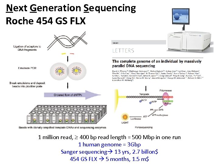 Next Generation Sequencing Roche 454 GS FLX 1 million read, 400 bp read length