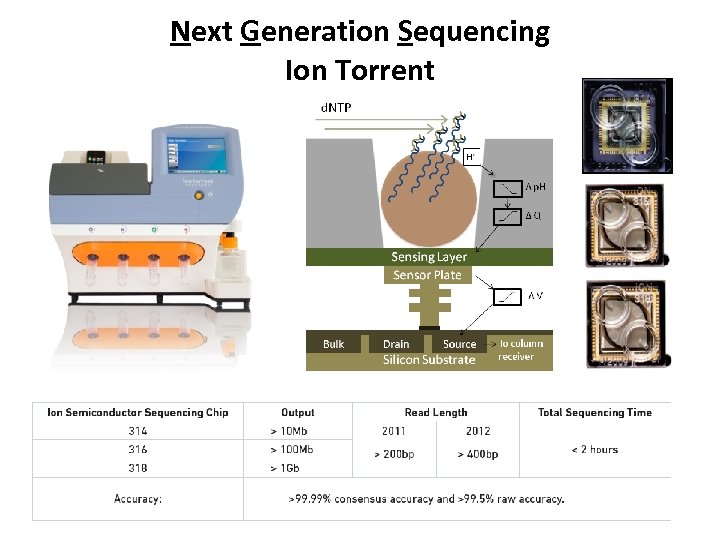 Next Generation Sequencing Ion Torrent 