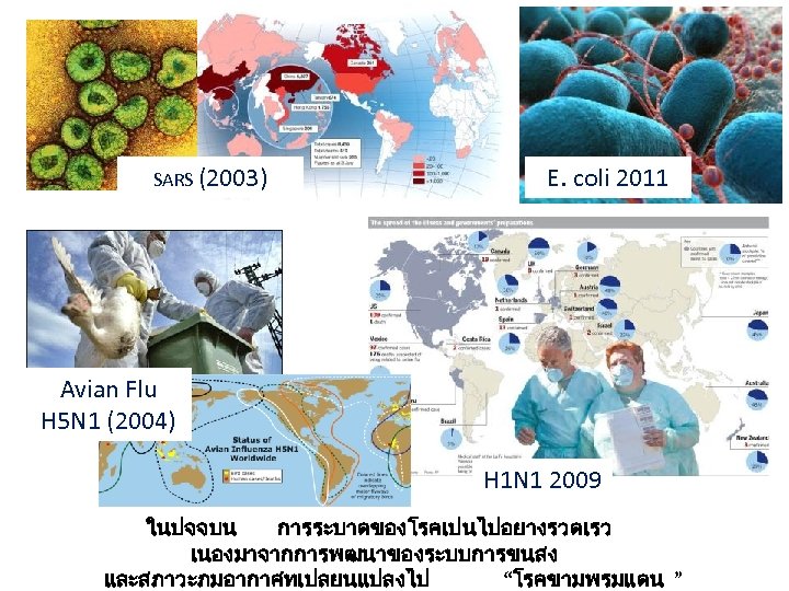 SARS (2003) E. coli 2011 Avian Flu H 5 N 1 (2004) H 1