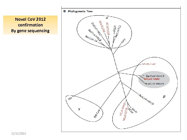 Novel Co. V 2012 confirmation By gene sequencing 12/12/2012 