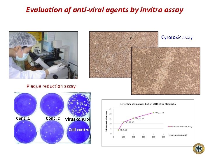 Evaluation of anti-viral agents by invitro assay Cytotoxic assay Plaque reduction assay Conc. 1