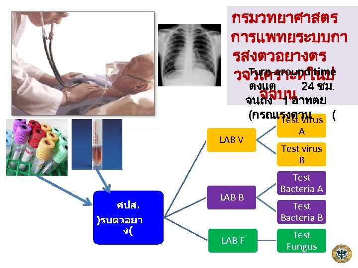 กรมวทยาศาสตร การแพทยระบบกา รสงตวอยางตร Turn-around time วจวเคราะหในป ตงแต 24 ชม. จจบน จนถง 1 อาทตย (กรณเรงดวน