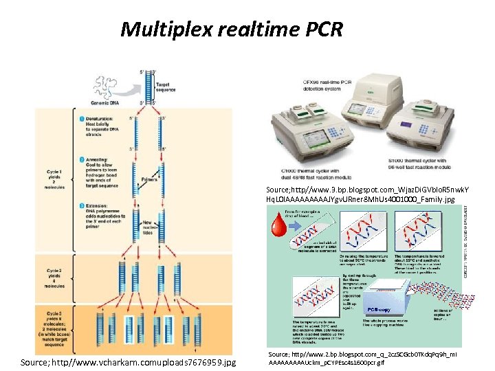Multiplex realtime PCR Source; http//www. 3. bp. blogspot. com_Wjaz. Di. GVblo. R 5 nwk.