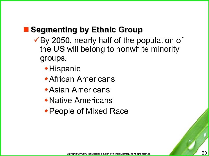 n Segmenting by Ethnic Group üBy 2050, nearly half of the population of the