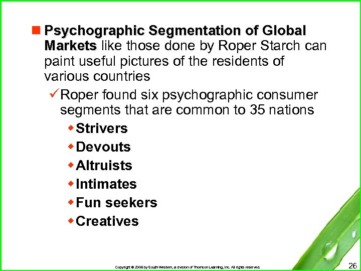 n Psychographic Segmentation of Global Markets like those done by Roper Starch can paint