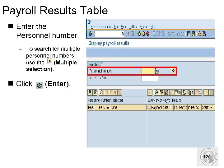 Payroll Results Table n Enter the Personnel number. – To search for multiple personnel
