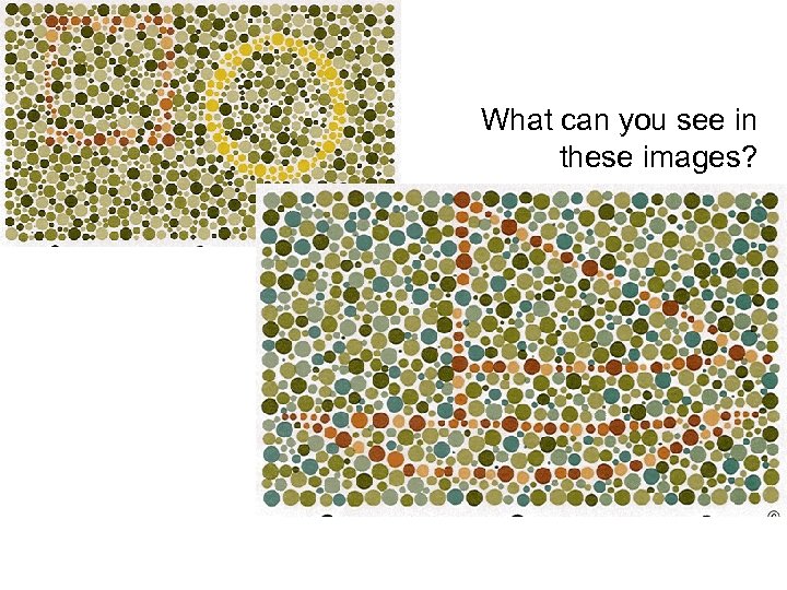 What can you see in these images? 