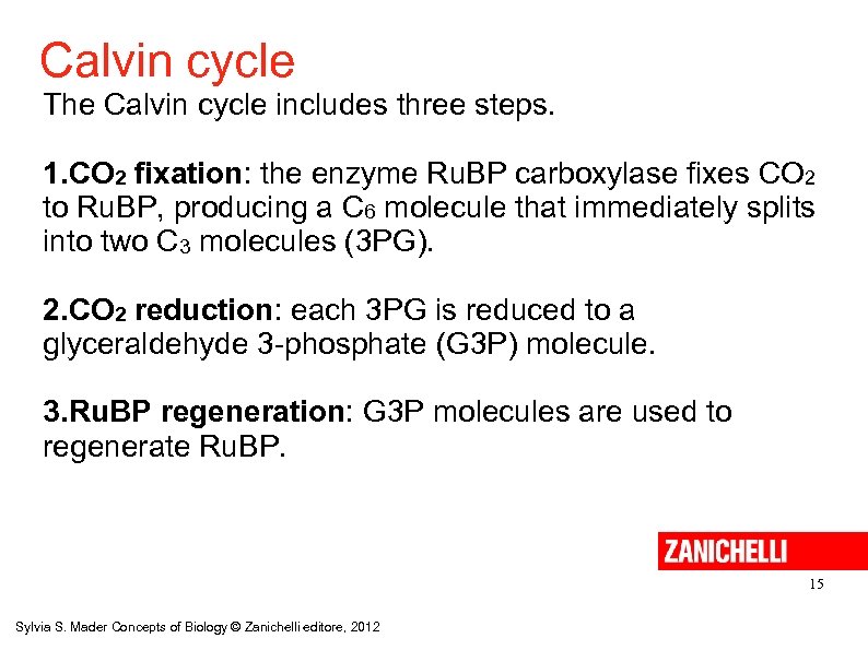 Calvin cycle The Calvin cycle includes three steps. 1. CO 2 fixation: the enzyme