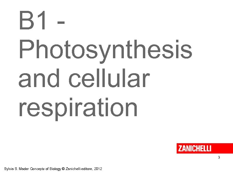 B 1 Photosynthesis and cellular respiration 3 Sylvia S. Mader Concepts of Biology ©