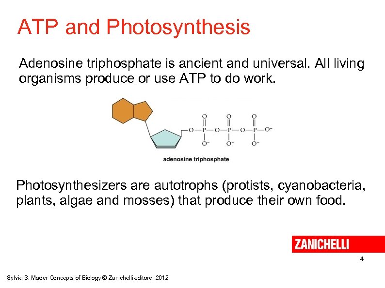 ATP and Photosynthesis Adenosine triphosphate is ancient and universal. All living organisms produce or