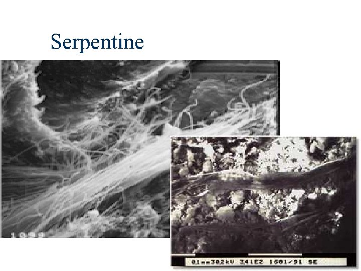 Serpentine 
