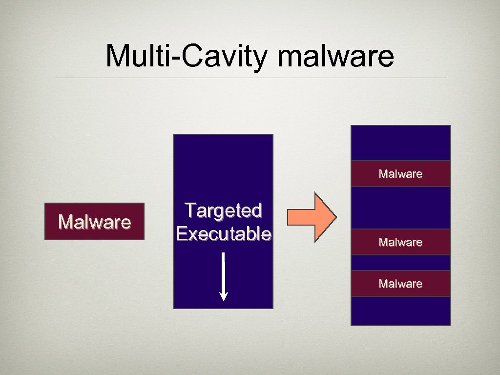 Multi-Cavity malware Malware Targeted Executable Malware 