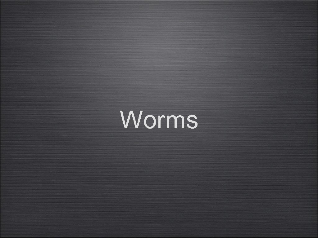 Worms 