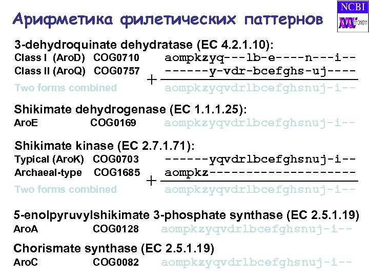Арифметика филетических паттернов 3 -dehydroquinate dehydratase (EC 4. 2. 1. 10): Class I (Aro.