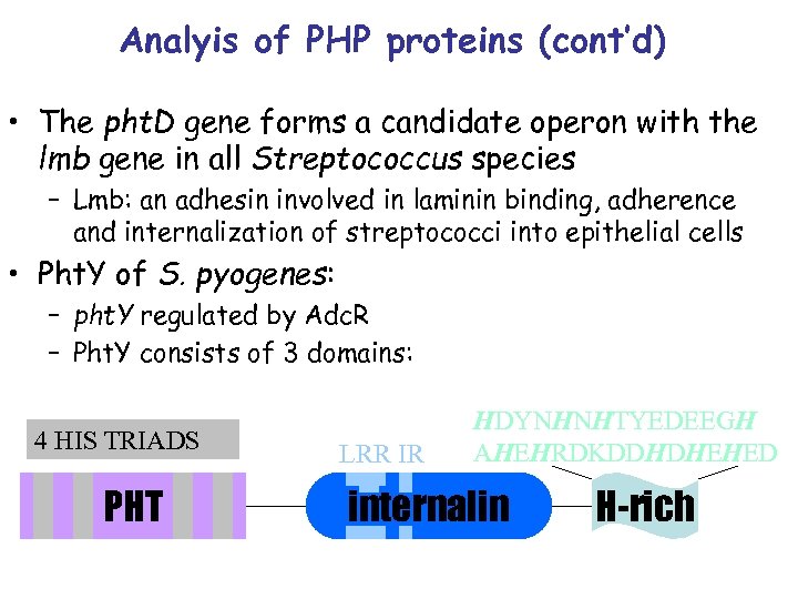 Analyis of PHP proteins (cont’d) • The pht. D gene forms a candidate operon