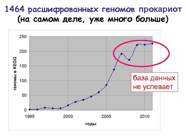 1464 расшифрованных геномов прокариот (на самом деле, уже много больше) база данных не успевает