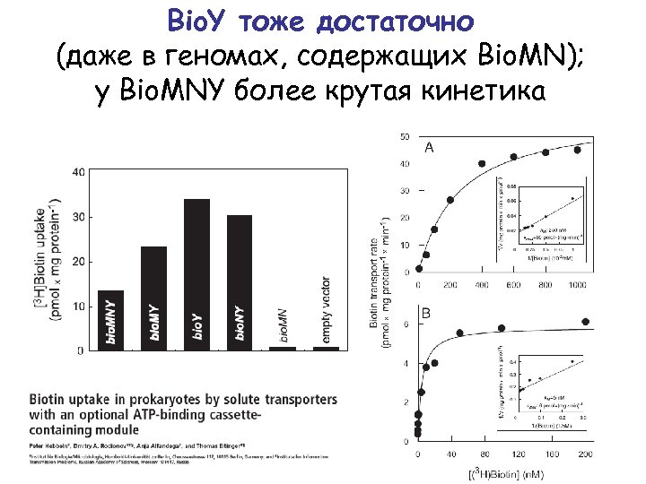Bio. Y тоже достаточно (даже в геномах, содержащих Bio. MN); у Bio. MNY более