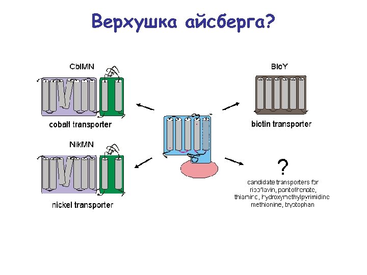 Верхушка айсберга? 