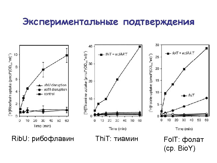Экспериментальные подтверждения Rib. U: рибофлавин Thi. T: тиамин Fol. T: фолат (ср. Bio. Y)