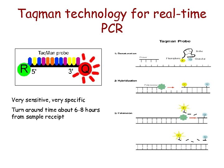 Taqman technology for real-time PCR Very sensitive, very specific Turn around time about 6