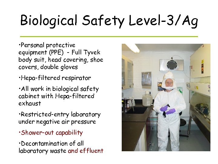 Biological Safety Level-3/Ag • Personal protective equipment (PPE) - Full Tyvek body suit, head