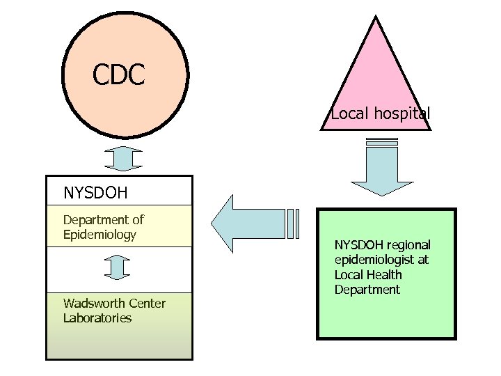 CDC Local hospital NYSDOH Department of Epidemiology Wadsworth Center Laboratories NYSDOH regional epidemiologist at