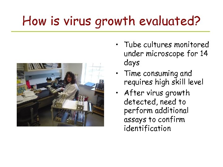 How is virus growth evaluated? • Tube cultures monitored under microscope for 14 days