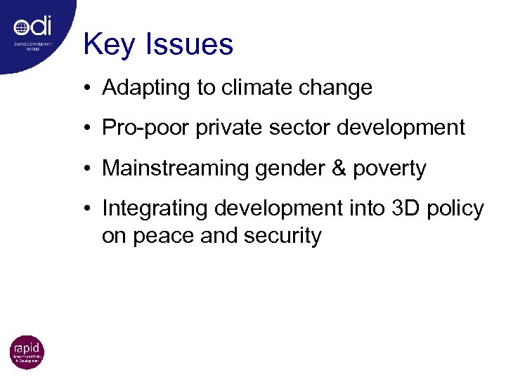 Key Issues • Adapting to climate change • Pro-poor private sector development • Mainstreaming
