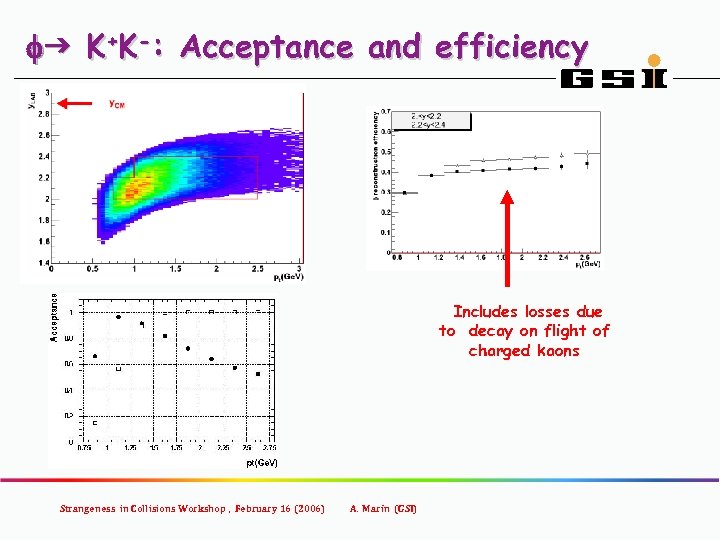 fg K+K-: Acceptance and efficiency Includes losses due to decay on flight of charged