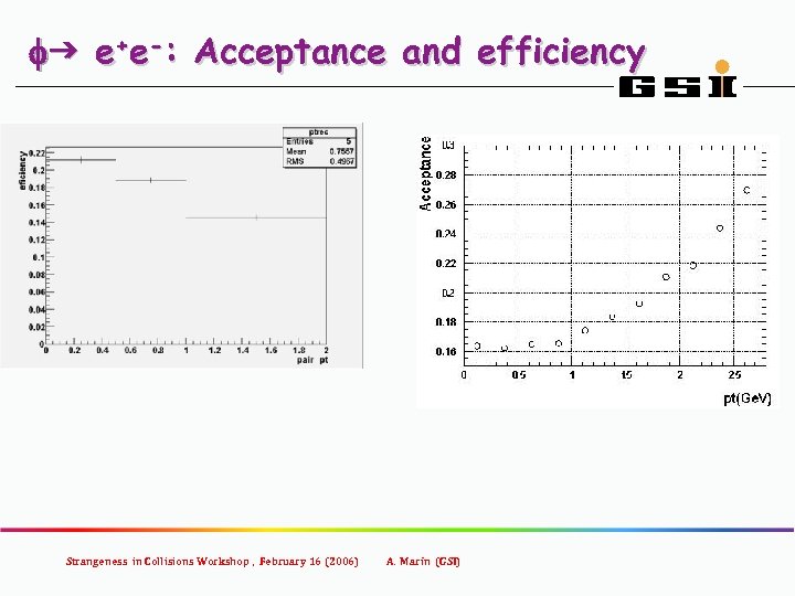 fg e+e-: Acceptance and efficiency Strangeness in Collisions Workshop , February 16 (2006) A.