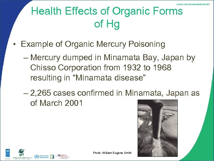 Health Effects of Organic Forms of Hg • Example of Organic Mercury Poisoning –