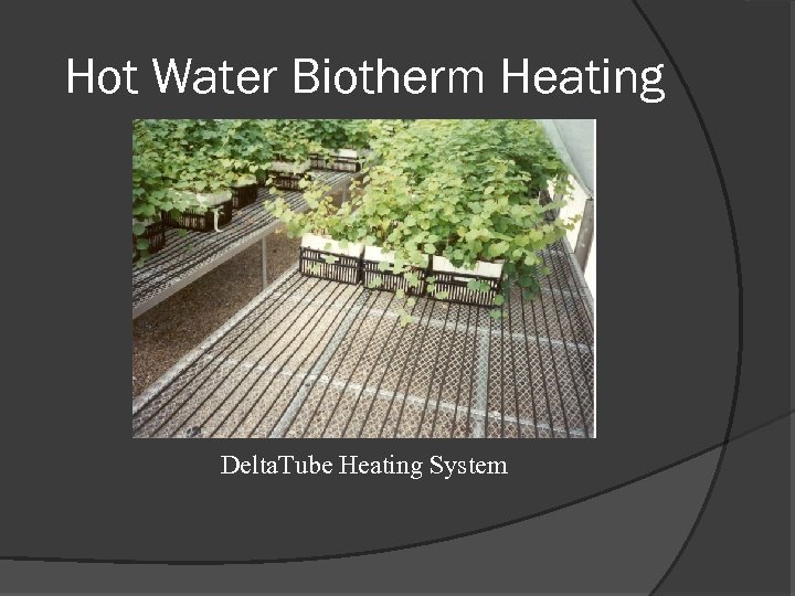 Hot Water Biotherm Heating Delta. Tube Heating System 