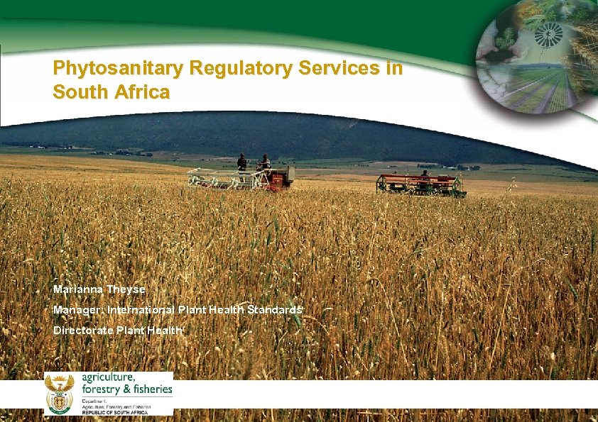 Phytosanitary Regulatory Services in South Africa Marianna Theyse Manager: International Plant Health Standards Directorate