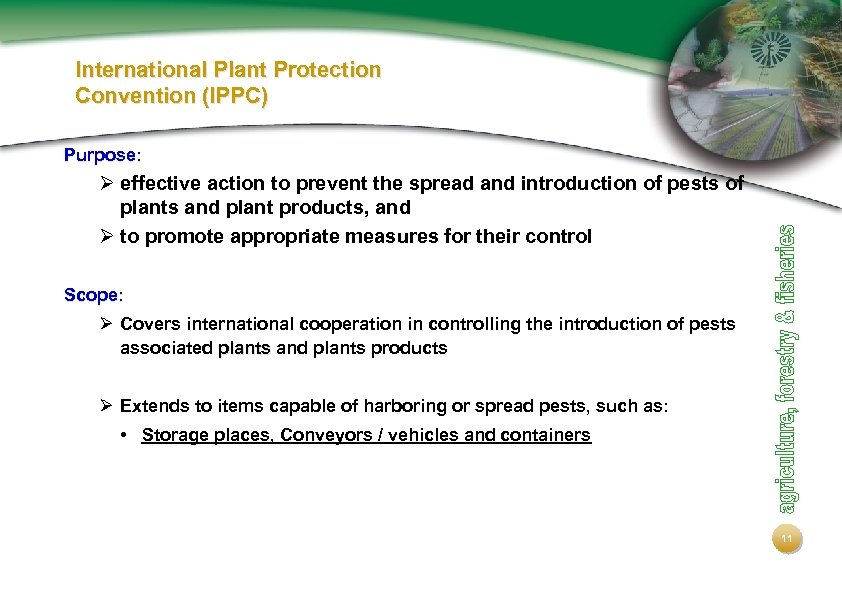 International Plant Protection Convention (IPPC) Purpose: Ø effective action to prevent the spread and