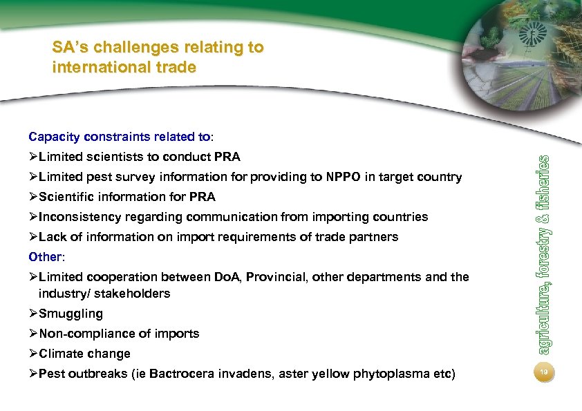 SA’s challenges relating to international trade Capacity constraints related to: ØLimited scientists to conduct