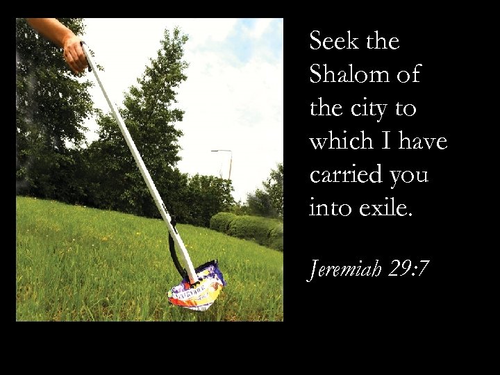 Seek the Shalom of the city to which I have carried you into exile.