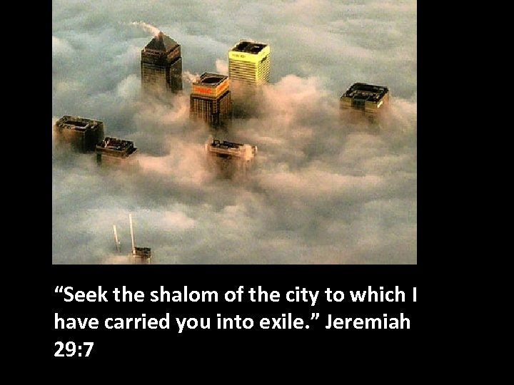 “Seek the shalom of the city to which I have carried you into exile.